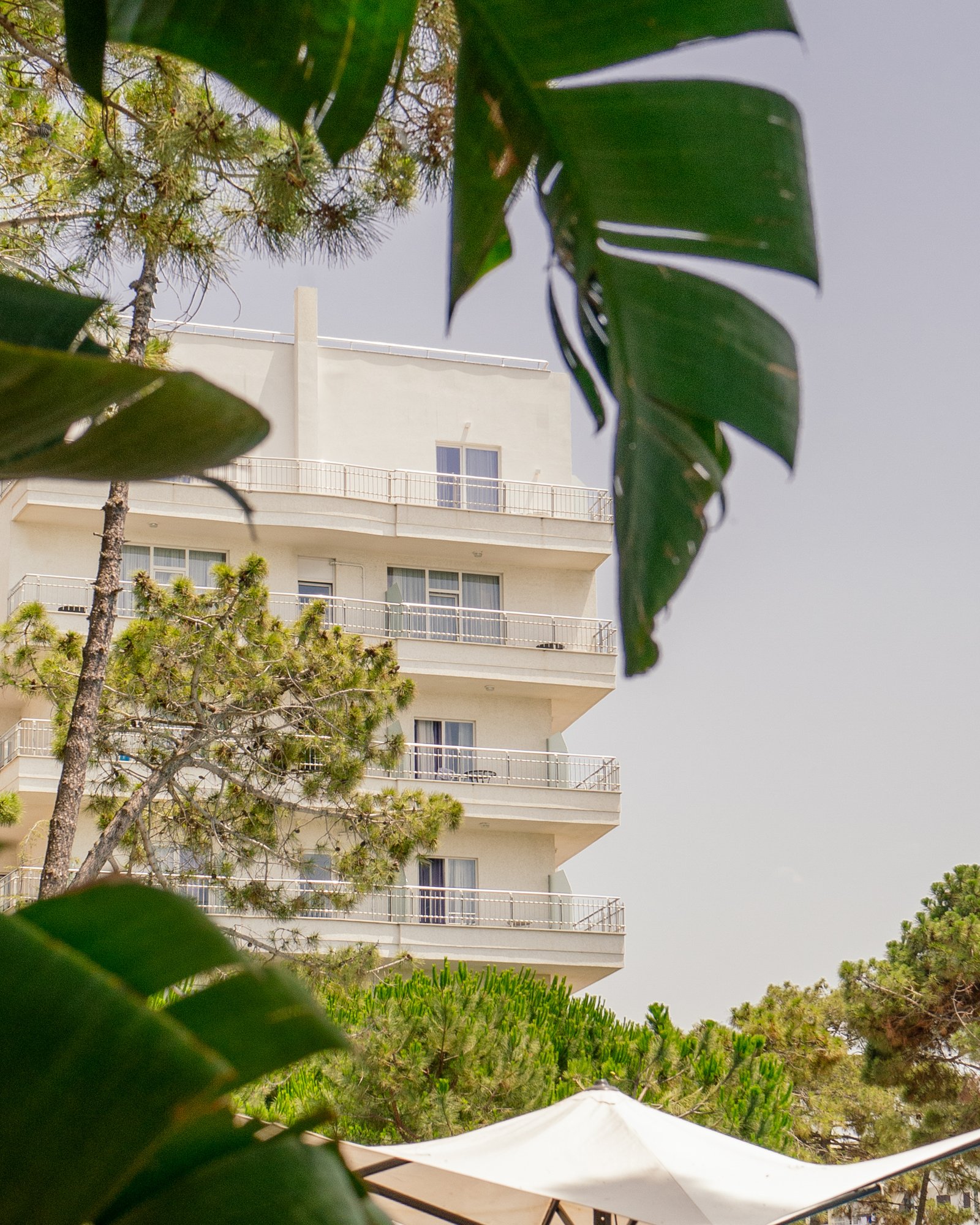 Hyrja kryesore dhe rruga automobilistike e Bonita Hotels në Golem